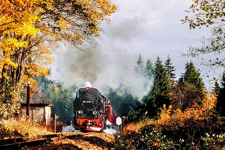 Eine Dampflokomotive der Harzer Schmalspurbahnen fährt durch den herbstlichen Harz