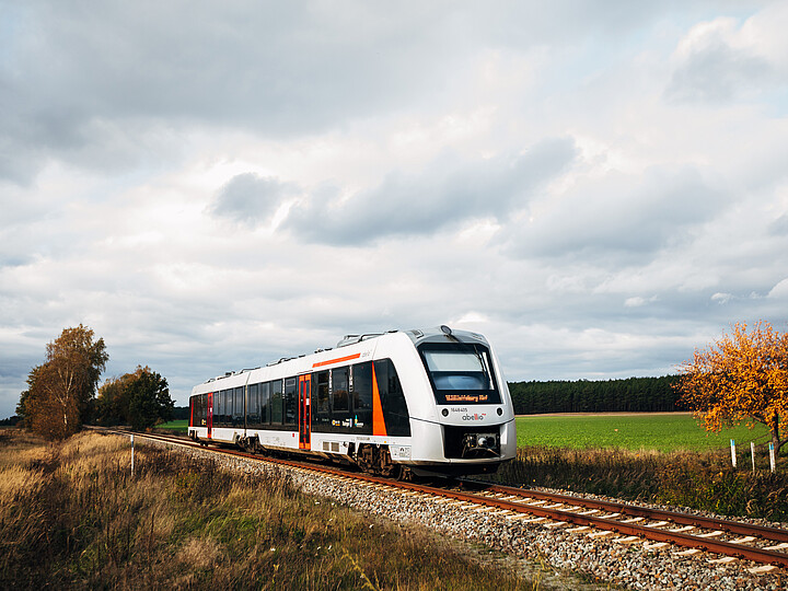 Ein Zug des Typs LINT41 fährt durch eine herbstliche Landschaft