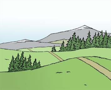 Hüglige Landschaft mit Weg und Wiese Hüglige Landschaft mit Weg und Wiese