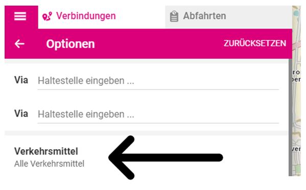 Screenshot von Mobilitätsportal